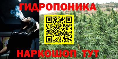 крисы Можга