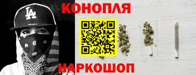 крисы Можга