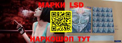 крисы Можга