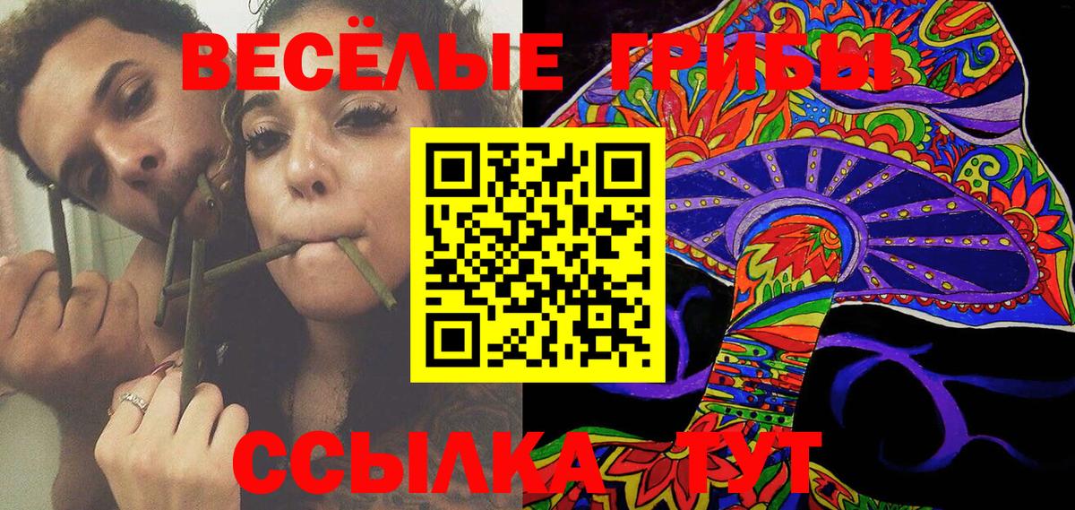 Галлюциногенные грибы Psilocybe Сухой Лог