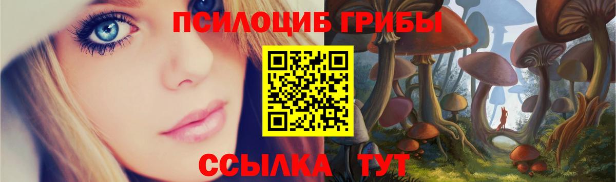Сухой Лог  где купить наркоту  Вход с VPN  Псилоцибиновые грибы Cubensis 